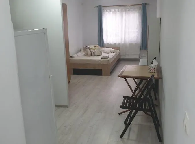 Apartament Garsoniera 3 *